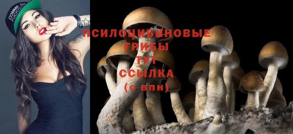 эйфоретик Алексеевка