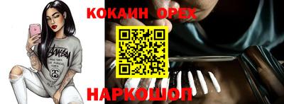 гидропоника Гусев