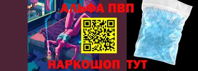 стаф Гатчина