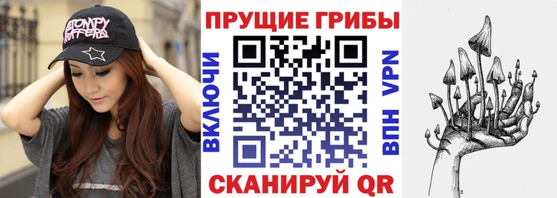 Псилоцибиновые грибы MAGIC MUSHROOMS  гидра ССЫЛКА  Елабуга 
