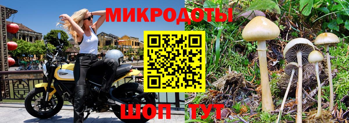 Галлюциногенные грибы мухоморы  Вход с VPN  Елабуга 